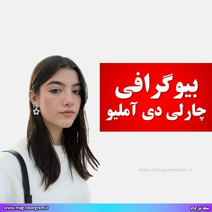 بیوگرافی چارلی دی آملیو