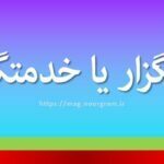 خدمتگزار یا خدمتگذار