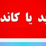 کاندید یا کاندیدا