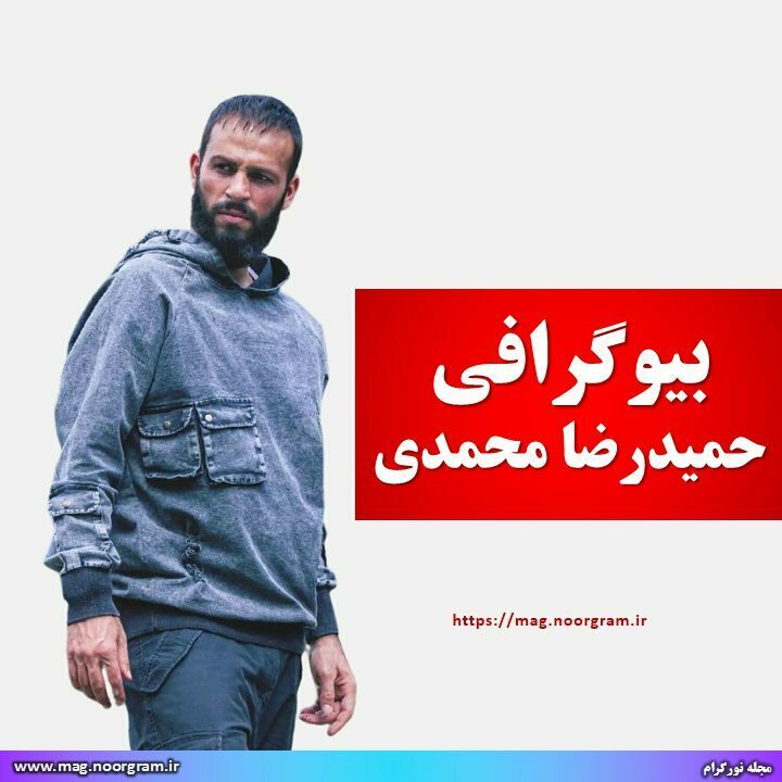 بیوگرافی حمیدرضا محمدی