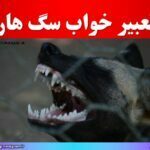 تعبیر خواب سگ هار