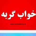تعبیر خواب گربه مرده