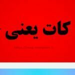 راف کات
