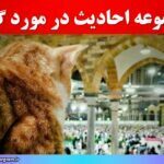 مجموعه احادیث در مورد گربه