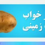 تعبیر خواب سیب زمینی
