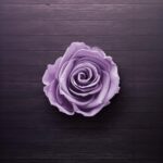 پس زمینه گل بنفش