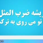 ریشه ضرب المثل این ره که تو می روی به ترکستان است