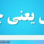 مخل یعنی چه