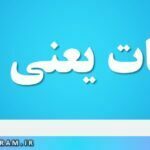 منویات یعنی چه
