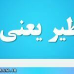 بی نظیر یعنی چه