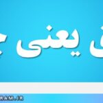 شایق یعنی چه