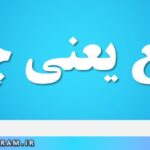 شنیع یعنی چه