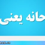 مذبوحانه یعنی چه