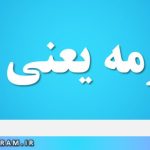 جرثومه یعنی چه