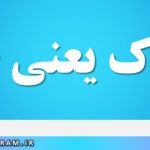 فرتوک یعنی چه