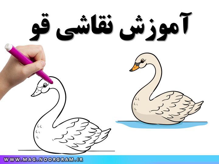 آموزش نقاشی قو