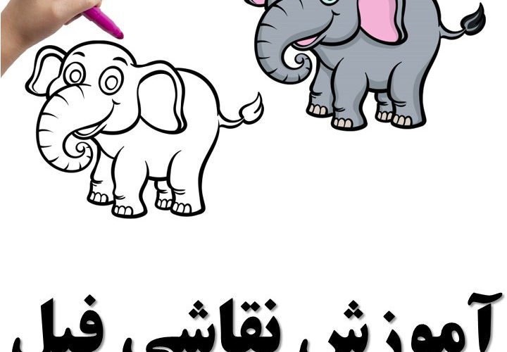 آموزش نقاشی فیل