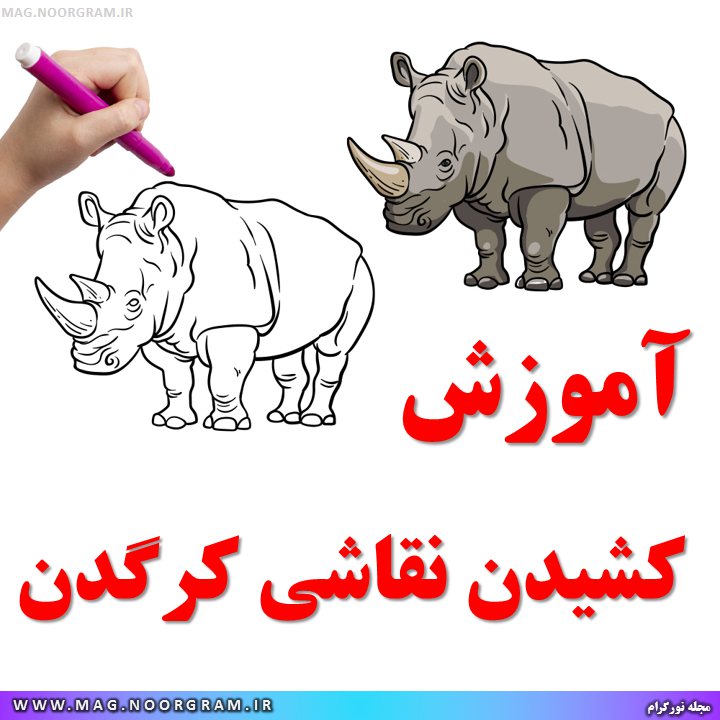 آموزش کشیدن نقاشی کرگدن