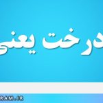 غرس درخت یعنی چه