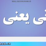 رایزنی یعنی چه
