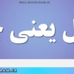 شامل یعنی چه