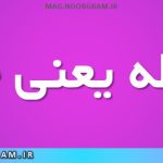 مغلطه یعنی چه