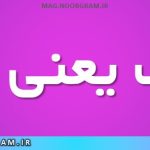 ناوک یعنی چه