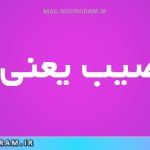 بی نصیب یعنی چه
