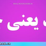 مقید یعنی چه