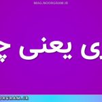 بزازی یعنی چه