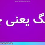 جفنگ یعنی چه