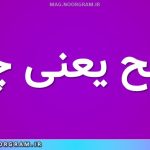 ناصح یعنی چه