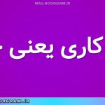 ریزه کاری یعنی چی