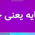 مشایه یعنی چه