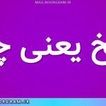 نسخ یعنی چه