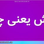 پایش یعنی چه