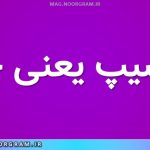 پرنسیپ یعنی چه