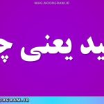 تمهید یعنی چه