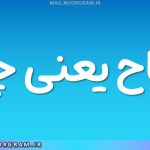 سیاح یعنی چه