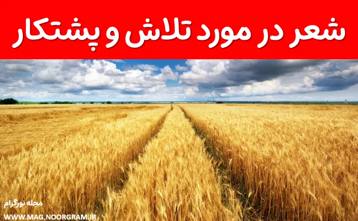 شعر در مورد تلاش و پشتکار